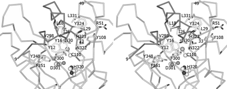 FIGURE 3.