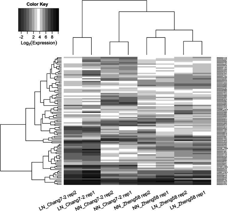 Fig. 3