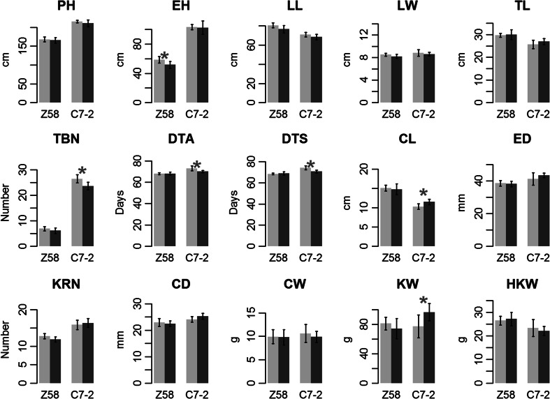 Fig. 2