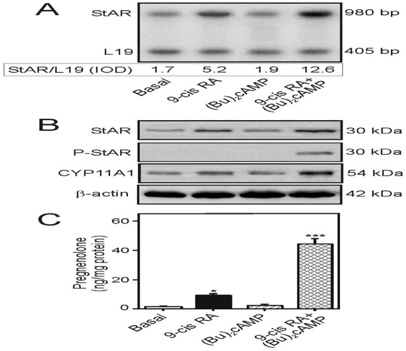 Fig. 7