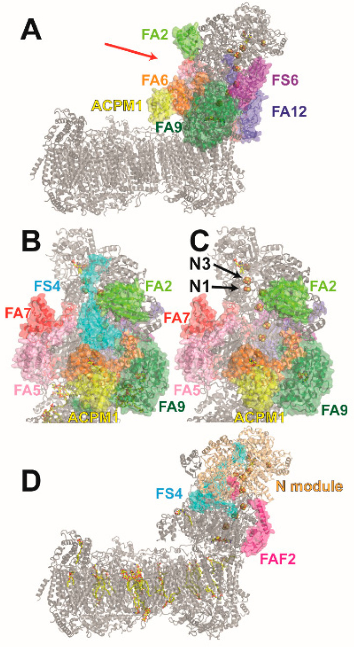 Figure 2