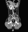 FIG 2