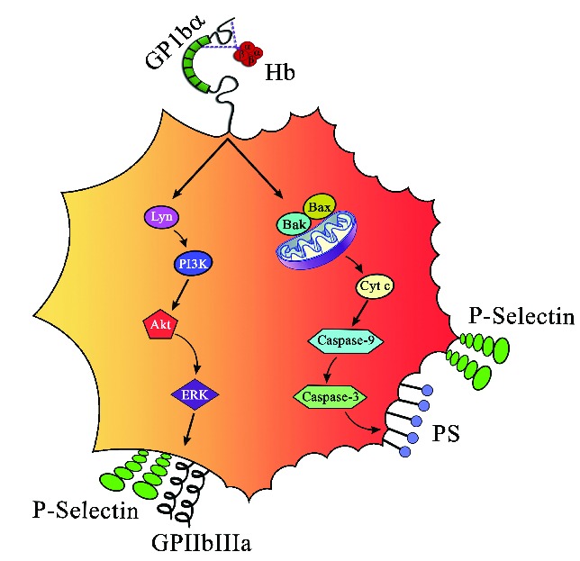 Figure 7.