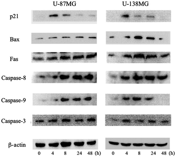 Figure 5.