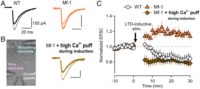 Fig. 2.