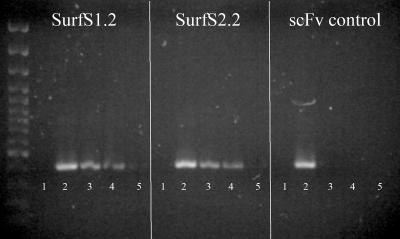 FIG. 7.