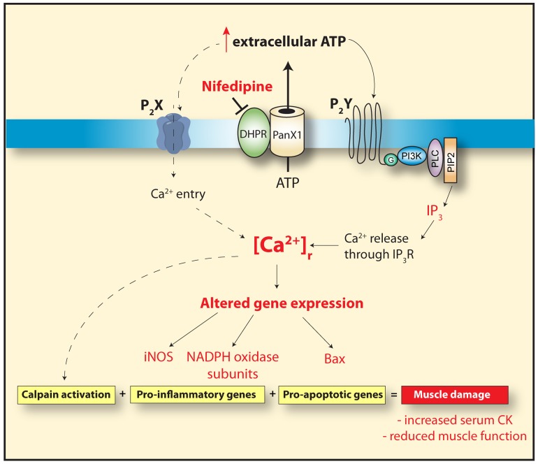 Figure 9