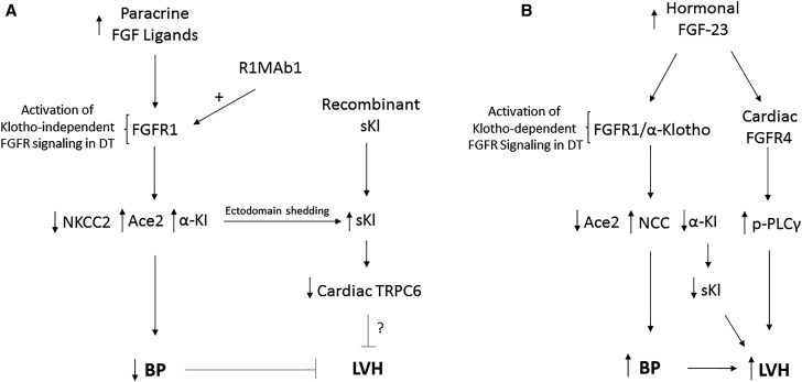 Figure 9.