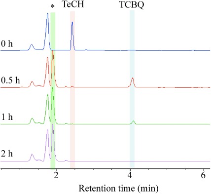 Fig. 2. Overlay chromatograph of degradation of 2,3,5,6-tetrachloro-p-hydroquinone (TeCH) within 2 hr by E. coli BL21 (DE3)/pA2B-3B. Apparent peaks for TeCH, 2,3,5,6-tetrachloro-p-benzoquinone (TCBQ), and an unknown metabolite (indicated by an asterisk) are shown.