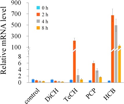 Fig. 5. Expression of the hcbB3 gene in Nocardioides sp. PD653 by hexachlorobenzene (HCB) and its degradation intermediates, pentachlorophenol (PCP), 2,3,5,6-tetrachloro-p-hydroquinone (TeCH), and 2,6-dichloro-p-hydroquinone (DiCH). Gene expression was calculated relative to the rpoB gene using the cycle threshold (2−ΔΔCt) method.