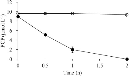 Fig. 1. Time courses for PCP degradation (●) by E. coli BL21 (DE3)/pA2B-3B and PCP concentrations (○) in the vector control cultures. Each concentration shown is the mean (n=3) with the standard deviation.