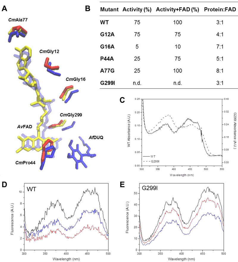 Figure 4.