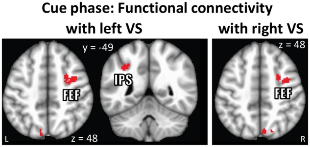 Fig. 8.