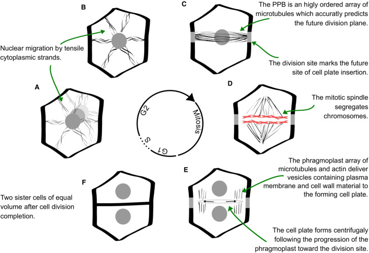 Figure 1.