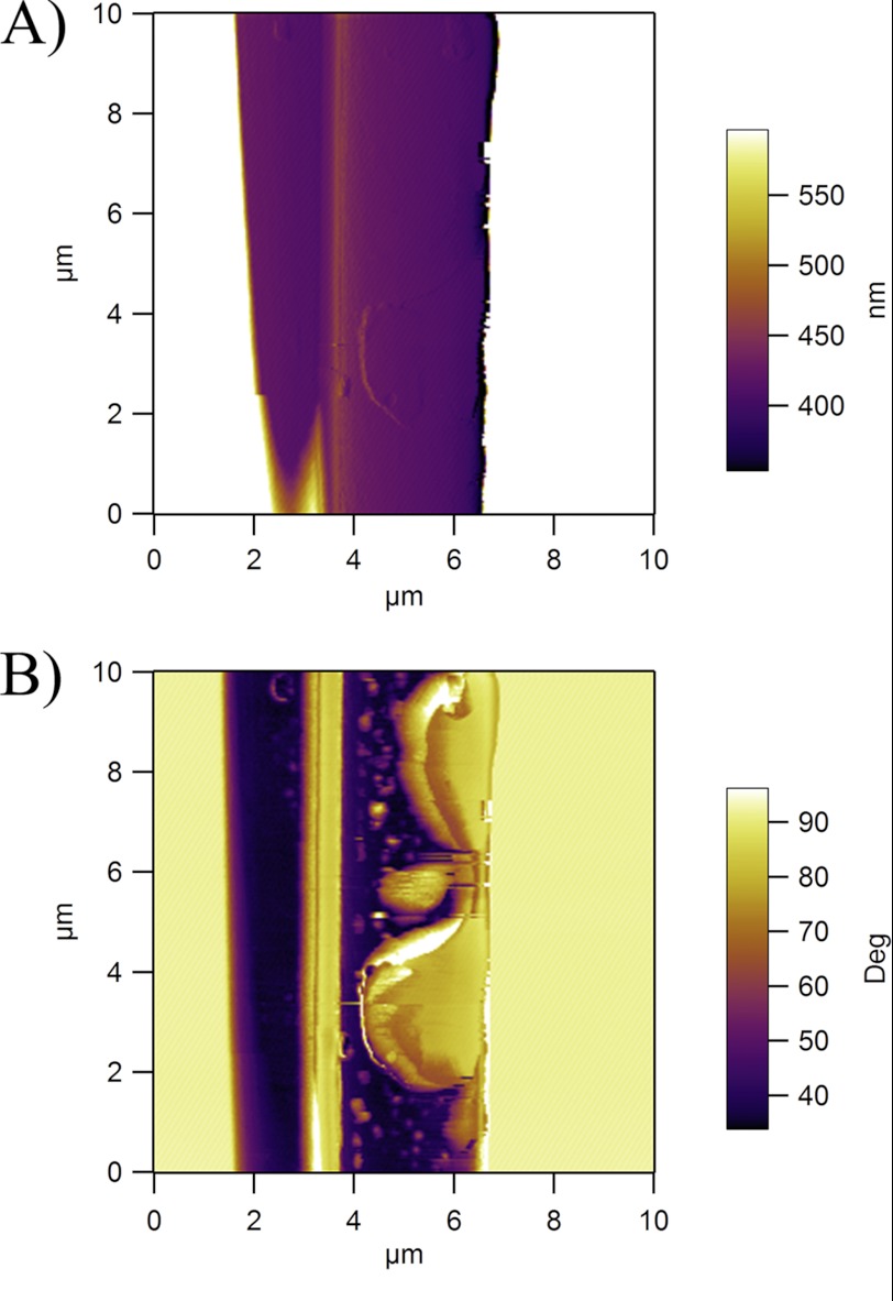 FIGURE 6.