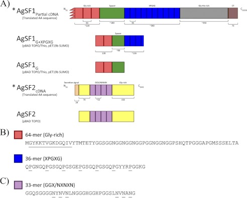 FIGURE 1.