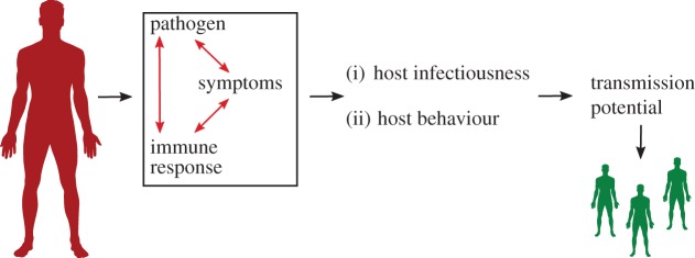 Figure 1.