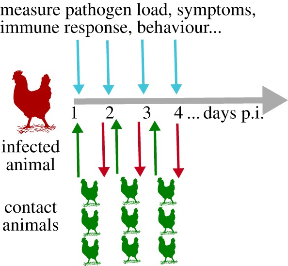 Figure 6.