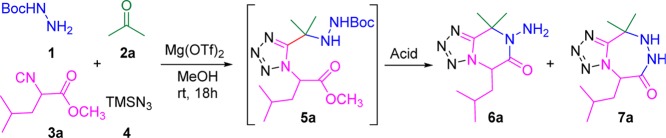 Scheme 2