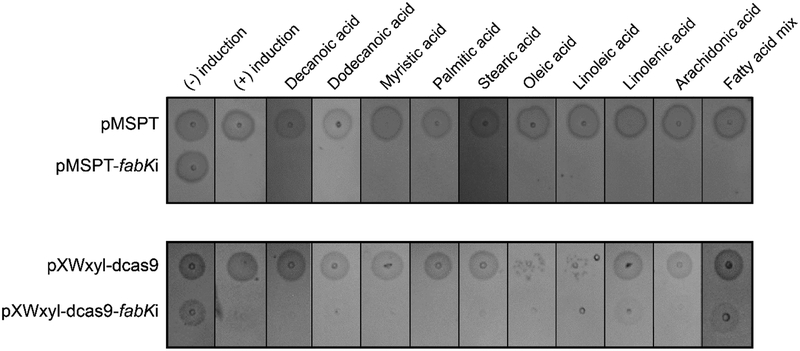 Figure-2: