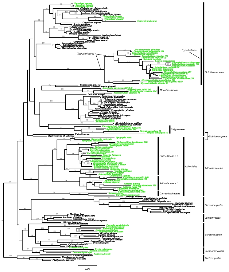 Fig.1.