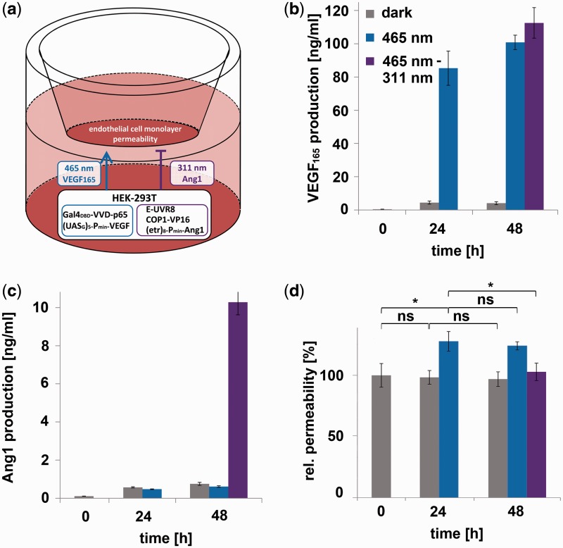 Figure 4.