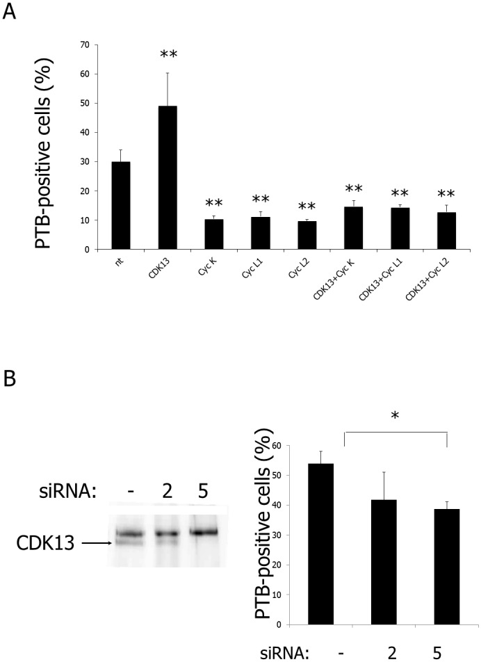 Fig 8