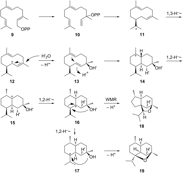 Scheme 2