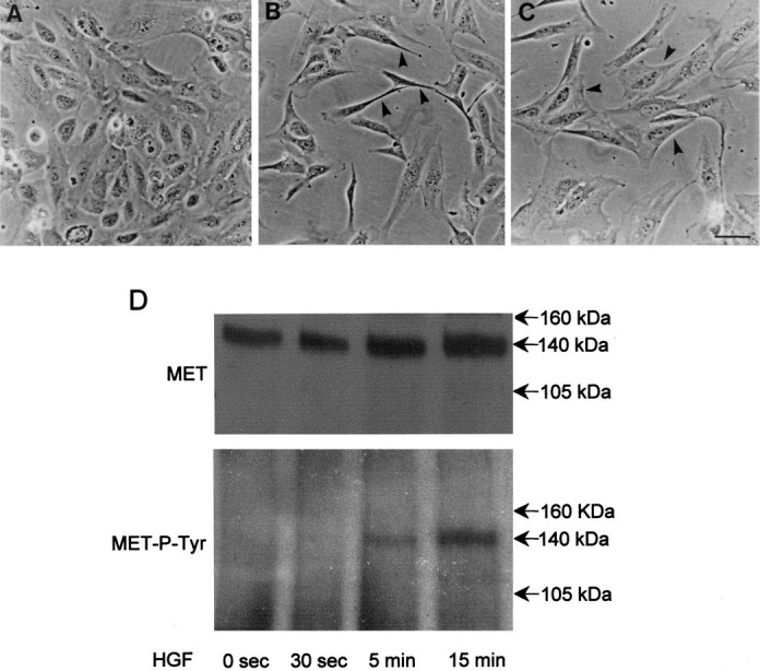 Figure 9.