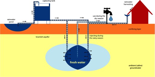 A schematic diagram.