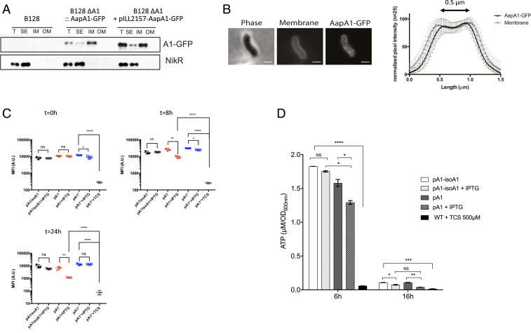 Fig. 2.