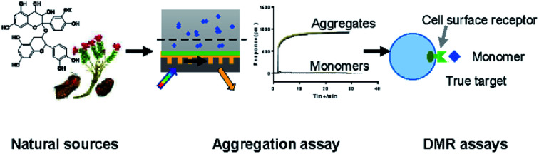 graphic file with name c9ra06466d-ga.jpg