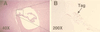 FIG. 8