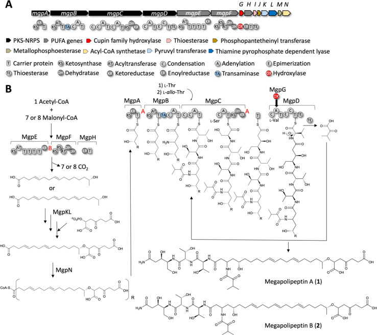 Fig. 6