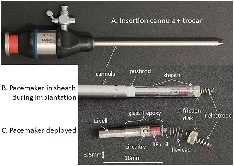 Figure 4: