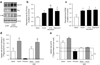 Fig. 2