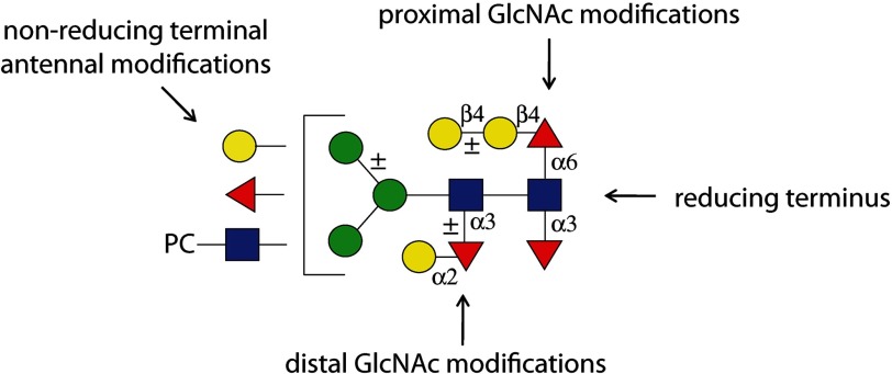 FIGURE 1.