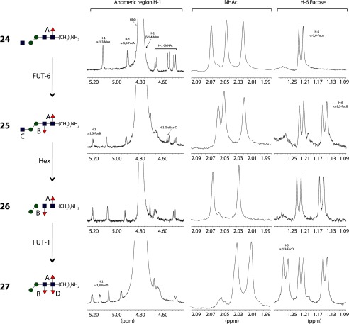 FIGURE 9.