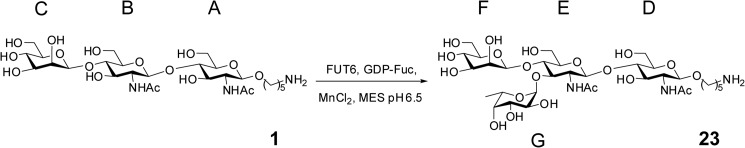 SCHEME 1.