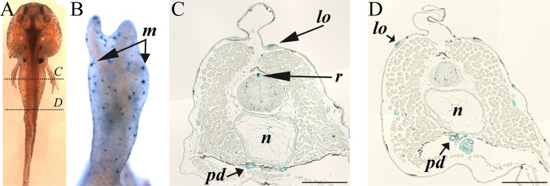 Fig. 3.