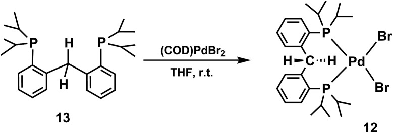 Scheme 6