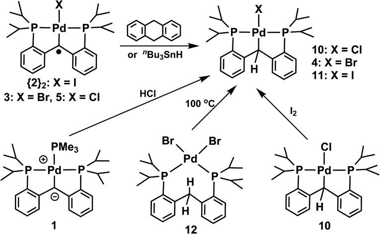 Scheme 5