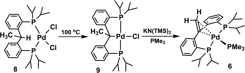 Scheme 4