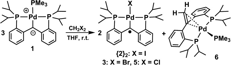 Scheme 2