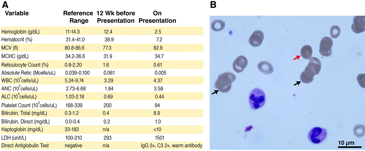 Figure 1: