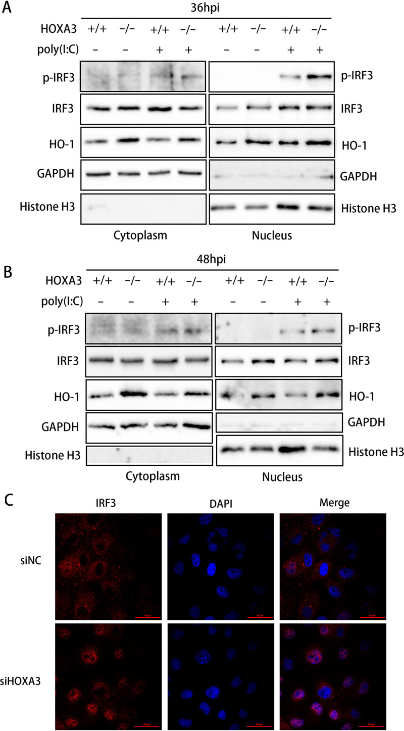 FIG 6