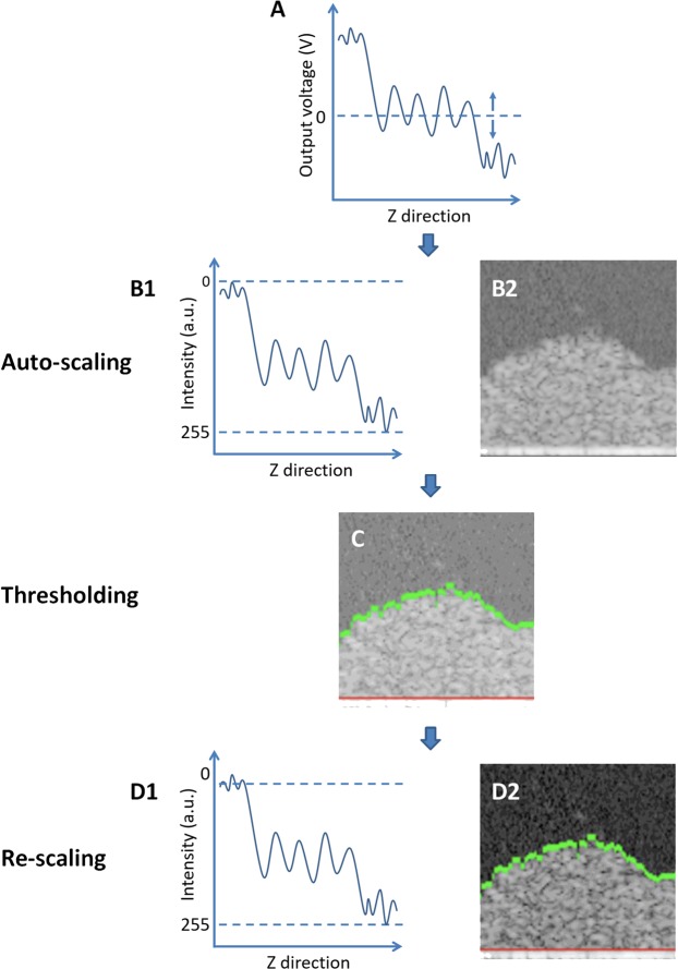 Figure 4