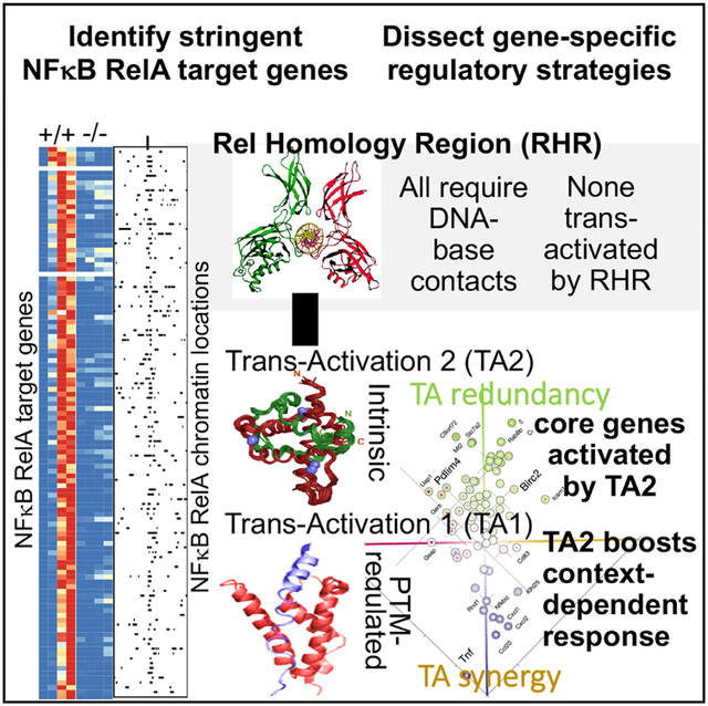 graphic file with name nihms-1566844-f0001.jpg