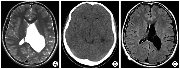 Fig. 5