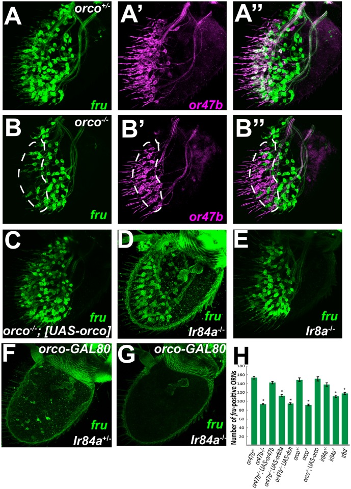 Fig 6